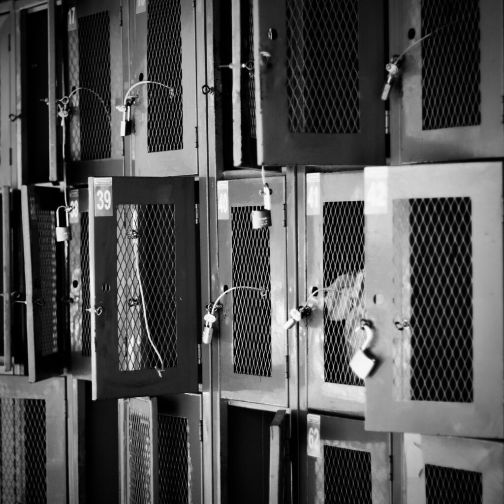 Hosting y backup: la importancia de proteger tu información 1 pexels photo 31410815